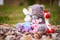 A plush gray teddy bear and crochet: hare, mouse and giraffe, sitting on a bedspread, in nature