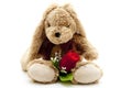 Plush hare with red rose Royalty Free Stock Photo