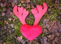 Plush Heart With Antler On Brown Leaves.