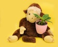 Plush monkey with a banana plant on a yellow background