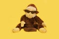 Plush monkey with sunglasses dressed on a yellow background