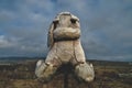 plush old toy sits on a barbed wire fence