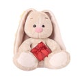 Plush rabbit with a red gift. Easter Bunny