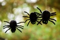 Plush Spiders Royalty Free Stock Photo