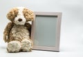 Plush teddy bear and empty picture frame Royalty Free Stock Photo