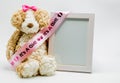 Plush teddy bear and empty picture frame with `It`s A Girl` ribbon Royalty Free Stock Photo