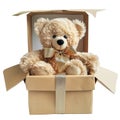 A Plush Teddy Bear with a Golden Bow Inside an Open Cardboard Box Royalty Free Stock Photo