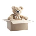 A Plush Teddy Bear Sitting Inside a Cardboard Box Royalty Free Stock Photo