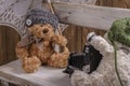 Plush Teddy bears photographer