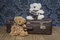 Plush Teddy bears Royalty Free Stock Photo