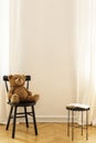 Plush toy on black chair in white kid`s room interior with copy space. Real photo