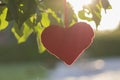 Plush toy - a heart attached to a tree with green leaves Royalty Free Stock Photo