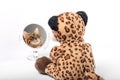 A plush toy leopard looks in the mirror and sees the face of a cat Royalty Free Stock Photo