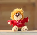 Plush toy in red knitted jacket. Royalty Free Stock Photo