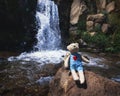 plush toy teddy bear traveler sits on rock at waterfall of river on vacation in Kaskasu gorge in summer Royalty Free Stock Photo