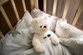 a plush white bear is lying in the crib