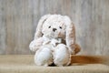 plush white bunny toy on the table