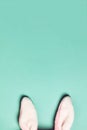 Plushy bunny ears on bright background. Easter minimal concept Royalty Free Stock Photo