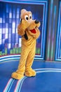 Pluto, Disney World, Magic Kingdom, Travel, Florida