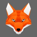 Plygon fox face