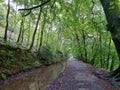 Plym Bridge Disused canal River Plym Royalty Free Stock Photo