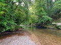 Plym Bridge Disused canal River Plym Royalty Free Stock Photo