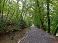 Plym Bridge Disused canal River Plym Royalty Free Stock Photo