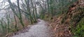 Plym Bridge Path Above The Plym Valley Devon Royalty Free Stock Photo