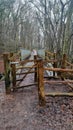 Plym Bridge Path Above The Plym Valley Devon Royalty Free Stock Photo