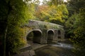 Plym Bridge ,River Plym , Plym Valley ,Dartmoor Royalty Free Stock Photo