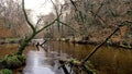 Plym Bridge on the flooded  River Plym Plymouth Devon uk Royalty Free Stock Photo