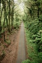 Plym valley Cycle path ,Dartmoor, devon