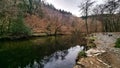 Plym Valley River plym Dartmoor National Park Devon UK