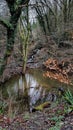 The Plym Valley Trail from Plymouth City to Dartmoor footpath