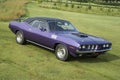 Cuda Royalty Free Stock Photo