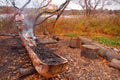 Plymouth Plantation Indian Boat Royalty Free Stock Photo