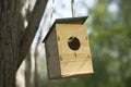 Plywood bird house. Bird feeder. House hangs on tree Royalty Free Stock Photo