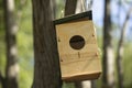 Plywood bird house. Bird feeder. House hangs on tree Royalty Free Stock Photo