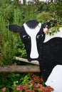 Plywood cutout in a cow shape painted black and white, pink rose blooming by cowâs ear Royalty Free Stock Photo