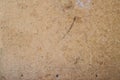 Plywood dirty brown texture macro