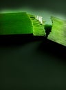 Plywood material fracture against a dark green background. Royalty Free Stock Photo