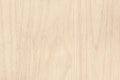 Plywood surface in natural pattern with high resolution. Wooden grained texture background