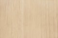 Plywood surface in natural pattern with high resolution. Wooden grained texture background Royalty Free Stock Photo