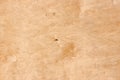 Plywood texture Royalty Free Stock Photo