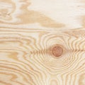 Plywood texture with gnarl and natural wood pattern Royalty Free Stock Photo