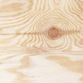 Plywood texture with gnarl and natural wood pattern Royalty Free Stock Photo