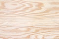 Plywood texture with gnarl and natural wood pattern Royalty Free Stock Photo