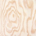 Plywood texture with gnarl and natural wood pattern Royalty Free Stock Photo