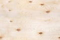 Plywood texture with knots light. Seamless Royalty Free Stock Photo