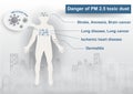 PM 2.5 dust bad pollution warning poster campaign in vector design